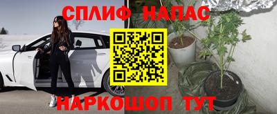 прущие крисы Кунгур