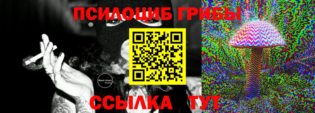 купить наркотики цена  Вход с VPN  Каменск-Шахтинский  Галлюциногенные грибы GOLDEN TEACHER 