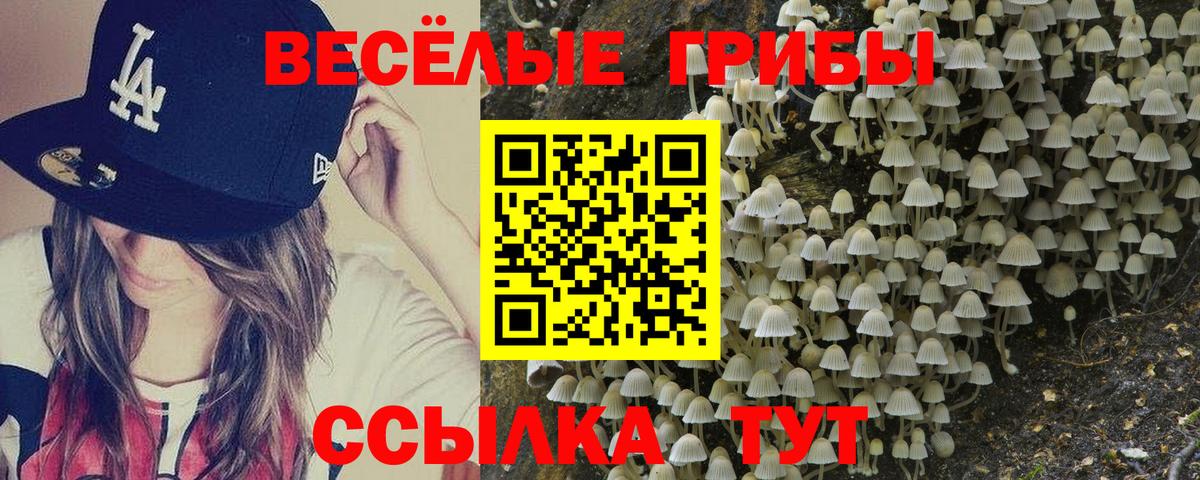 Галлюциногенные грибы прущие грибы Каменск-Шахтинский