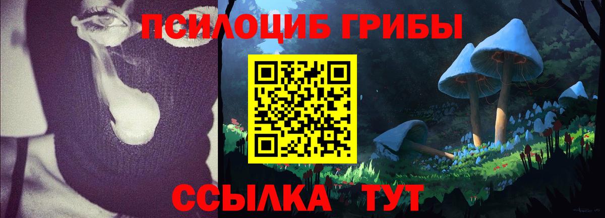 Cocaine  МДМА  Каменск-Шахтинский  МЕФ кристаллы  Конопля  Вход с VPN 
